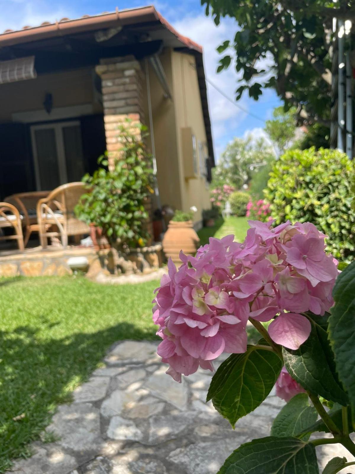 Villa Tina Country Beach Apartments Ахарави Стая снимка