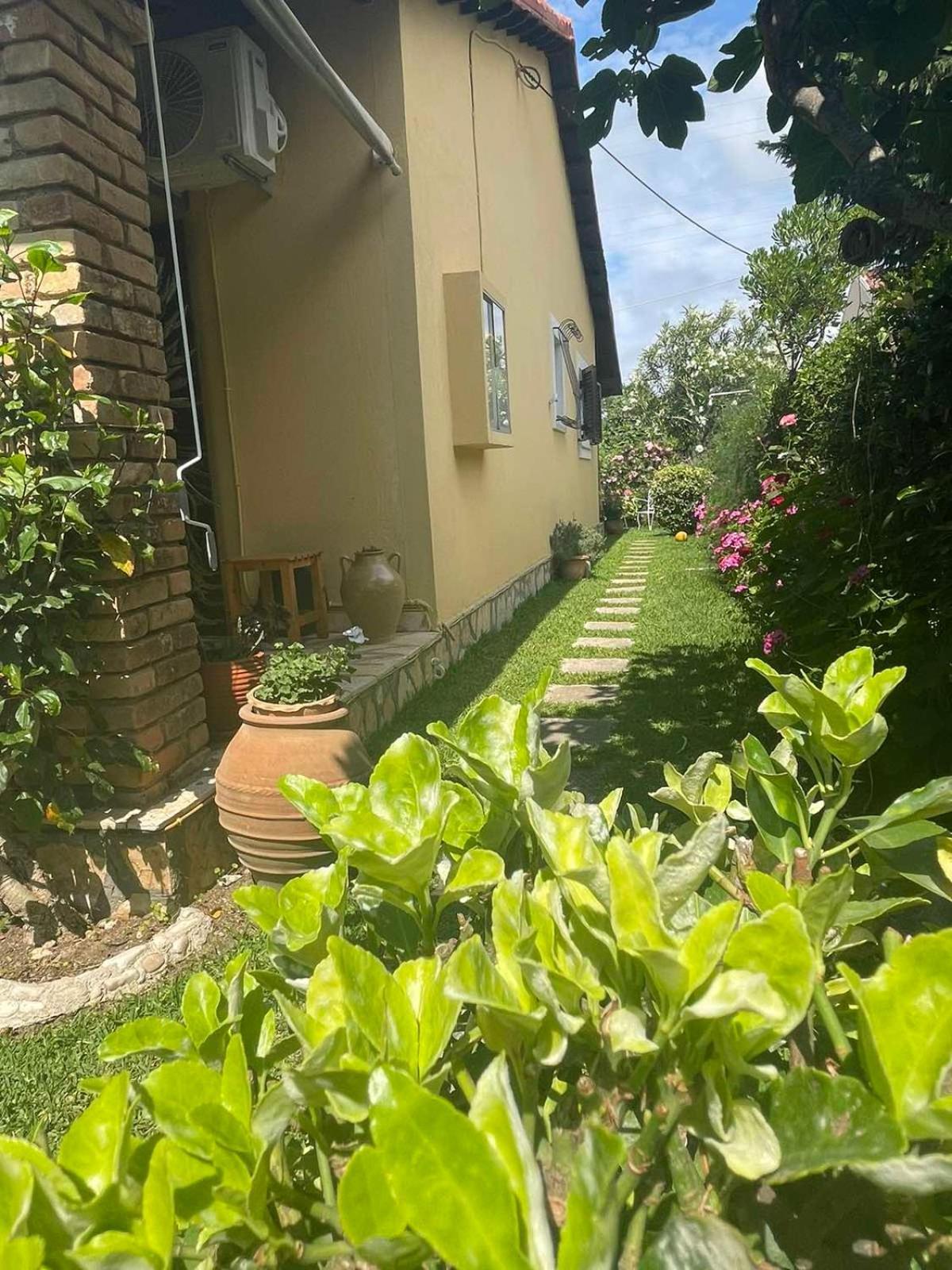 Villa Tina Country Beach Apartments Ахарави Стая снимка