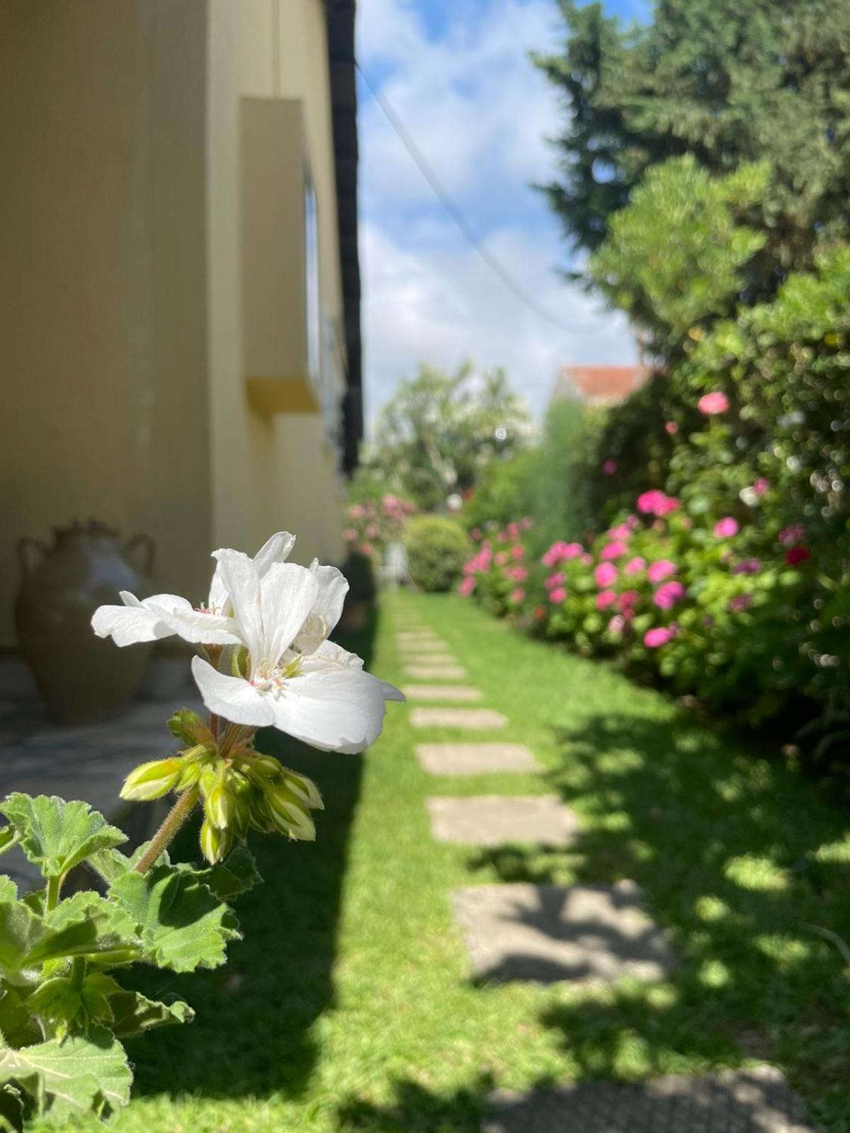 Villa Tina Country Beach Apartments Ахарави Стая снимка
