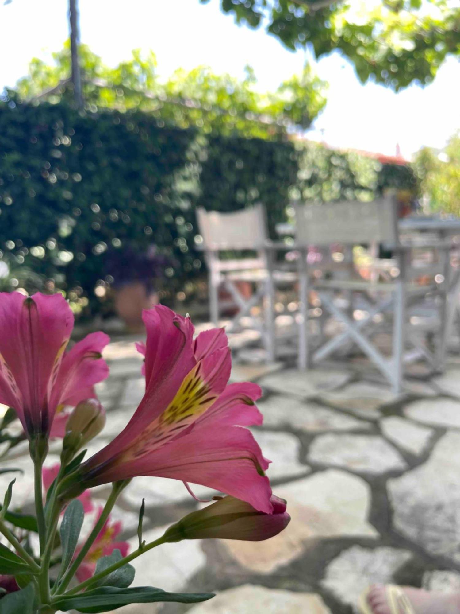 Villa Tina Country Beach Apartments Ахарави Стая снимка